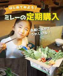 定期購入サービス 食材宅配 有機野菜 無農薬野菜 無添加食品 定期宅配 通販 なら ミレー