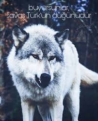 Namik Halli Adli Kullanicinin Bayragim Panosundaki Pin Ordu Turkler