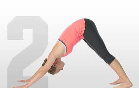 In iyengar yoga, the basic sequence is tadasana, urdhva hastasana, uttanasana, uttanasana with head up, adho mukha svanasana, urdhva mukha svanasana, chaturanga dandasana, and then reversing the sequence to return to tadasana; 12 Beginner Yoga Poses Pro Tips By Dick S Sporting Goods