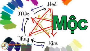 Mệnh Mộc hợp màu gì nhất? Cách chọn màu sắc cho người mệnh Mộc