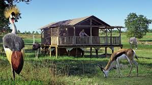 Proche du zoo de beauval et des châteaux, également des sorties d'autoroute saint aignan et bléré de l' a85. Au Zoo Dormir Avec Les Animaux Devient Incontournable