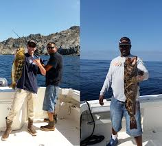 Fish Species Los Angeles Sportfishing La California