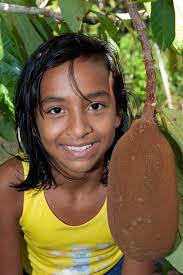 Image result for Tangerine 1971 Talbot