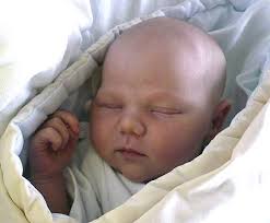 Fotogalerie: Nově narozená miminka