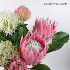 Big Size Protea King Flower Bloom In Pink 65cmh Australian Etsy Artificial Flowers Flower Arrangements Diy Flower Arrangements