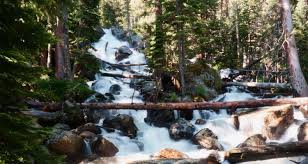May 15, 2021 · one of the highest waterfalls in the eastern united states, fall creek falls can be reached via several long or short hiking and walking trails, which wind around the lake and towards the base of the waterfalls. 50 Waterfall Hikes Near Denver Colorado