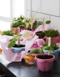 frische einrichtungsideen und erschwingliche mobel haus und garten coole zimmerpflanzen verschenken