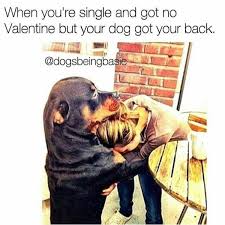 21 Dog Pictures That Perfectly Sum Up Your Valentine S Day Barkpost These cute and funny pet valentine's day memes will inspire you to do just that!