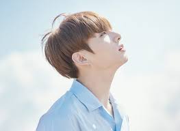 A.r.m.y (adorable representative mc for. Pin Di Bts
