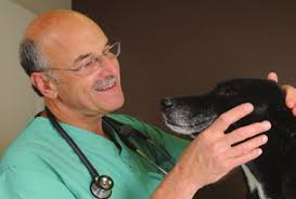 American Heartworm News June 09.indd