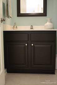The soft, fresh feeling of matte walls Room 6 The Powder Room Is Finished Painted Vanity Bathroom Painting Bathroom Cabinets Bathroom Cabinet Colors