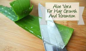 Aloe vera is an incredibly versatile plant—in addition to being used for skin care, it is a great product to apply to your hair! Use The Aloe Vera Plant For Hair Growth And Retention