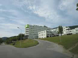 It is called the 'city of roses.'. File Molde Sykehus Molde Jpg Wikimedia Commons