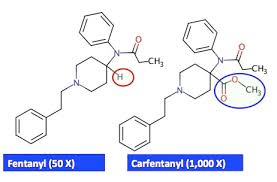 Maybe you would like to learn more about one of these? If You Think Fentanyl Is Bad American Council On Science And Health