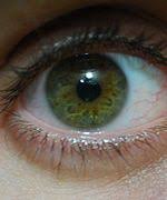 Eye Color Wikipedia