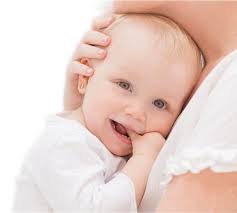 MARCUS ROHRER Spirulina Refill, 180 tabs