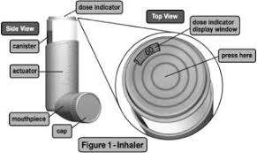 Image result for Inhaled Ciclesonide