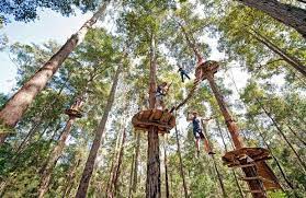 10 Things To Do In Sydney With Kids Adventure Park Adventure Tourism Ecotourism