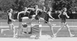 ✓ free for commercial use ✓ high quality images. The Relationship Between Steeplechase Hurdle Economy Mechanics And Performance Sciencedirect