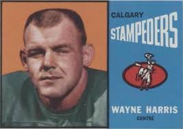 1964 Swedish Rekord #19 Ray Patterson USA