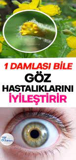 Bir Damlasi Bile Goz Hastaliklarini Iyilestirir Healthy Tips Health The Cure