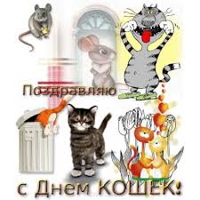 В россии и других странах мира. Prikolnye Kartinki S Dnem Koshek 2020 44 Smeshnyh Pozdravleniya Vsyo Dlya Prazdnika
