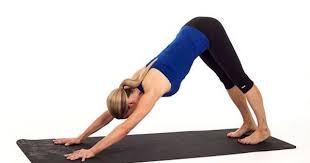 5 Must Learn Yoga Poses For Beginners Yoga Poses For Beginners Yoga Poses Scoliosis Exercises