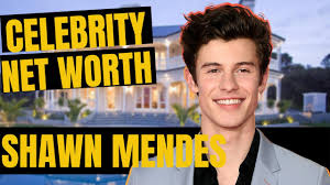 Maybe you would like to learn more about one of these? Shawn Mendes Net Worth Lifestyle Bio 2020 Celebrity Net Worth Youtube