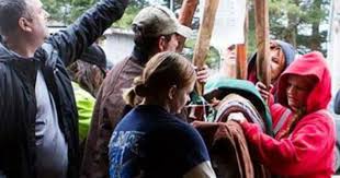 Group rescues horses, gets justice in abuse case