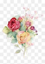 Watercolor Flowers Watercolor Flowers Free Watercolor Flowers Flower Png Images