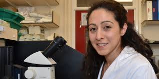 Elsa Sousa (@elsajfsousa)