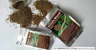 Gacor atau kicauan ciblek juga dapat dipengaruhi oleh faktor genetis atau keturunan. Makanan Ciblek Sawah Burung Hobi