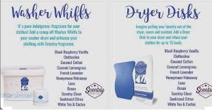 Wickless candles and scented fragrance wax for electric candle warmers and scented natural oils and diffusers. Washer Whiff And Dryer Disk Scents Scentsy Scentsy Fragrance Fragrance Wax