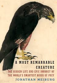 We did not find results for: Jonathan Meiburg S New Book On The World S Smartest Birds Of Prey Wamc