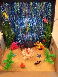 Biome In A Box Coral Reef Ocean Biome Diorama Science Project Biomes Project Kindergarten Projects Habitats Projects