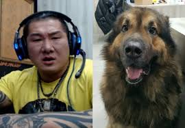 Compound of 馬鹿 (baka, stupid, idiot) +‎ 野郎 (yarō, bumpkin). ç¶²è·¯äººæ°£è©±é¡Œ é«˜åŠ ç´¢çŠ¬ ç¬¬1é  Dailyview ç¶²è·¯æº«åº¦è¨ˆ