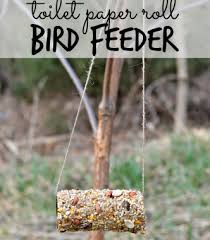 Maybe you would like to learn more about one of these? Build Your Own Bird Feeder Wellesley Community Children S Center