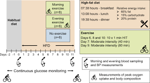Entdecke rezepte, einrichtungsideen, stilinterpretationen und andere ideen zum ausprobieren. The Effect Of Morning Vs Evening Exercise Training On Glycaemic Control And Serum Metabolites In Overweight Obese Men A Randomised Trial Springerlink