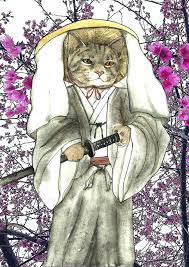 japanese samurai cat cat art samurai art animal art