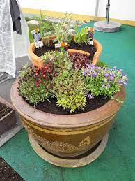 Weitere artikel von beck´s miniaturen. Mini Tontopf Garten Tontopfe Garten Topfern