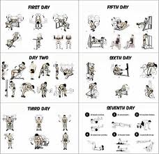 8 Weeks Workout Programme For Beginners Building Stairs