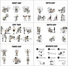 8 weeks workout programme for beginners building stairs