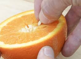 Comment Reussir Facilement Les Semis De Pepins D Agrumes Semis Pepin Graines De Citron