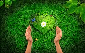 If there is no picture in this collection that you like, also look at other collections of backgrounds on our site. Beautiful Desktop Wallpapers Free Download Group 80