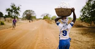 Please download one of our supported browsers. Startseite Infothek Archives Gemeinsam Fur Afrika