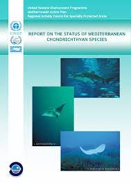 Our pest control methods, including 1080, possum fur recovery, ground control and vespex wasp bait are essential for the survival of many native species and ecosystems. Pdf Unep Map Rac Spa 2007 Report On The Status Of Mediterranean Chondrichthyan Species
