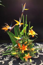 Bird Of Paradise Arrangement Zen Garden Bird Of Paradise Arrangement Birds Of Paradise Flower Zen Garden Tropical Flower Arrangements