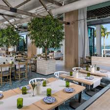 Image result for Faroa amara