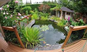 Was hilft gegen algen im teich? Gartenteich Der Grosse Ratgeber Zu Teichpflanzen Fischen Und Teichbau