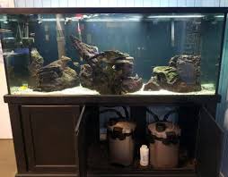 30 Gallon Cichlid Tank - Google Search | Fish Tank, Cool Fish Tanks,  Tropical Fish Tanks